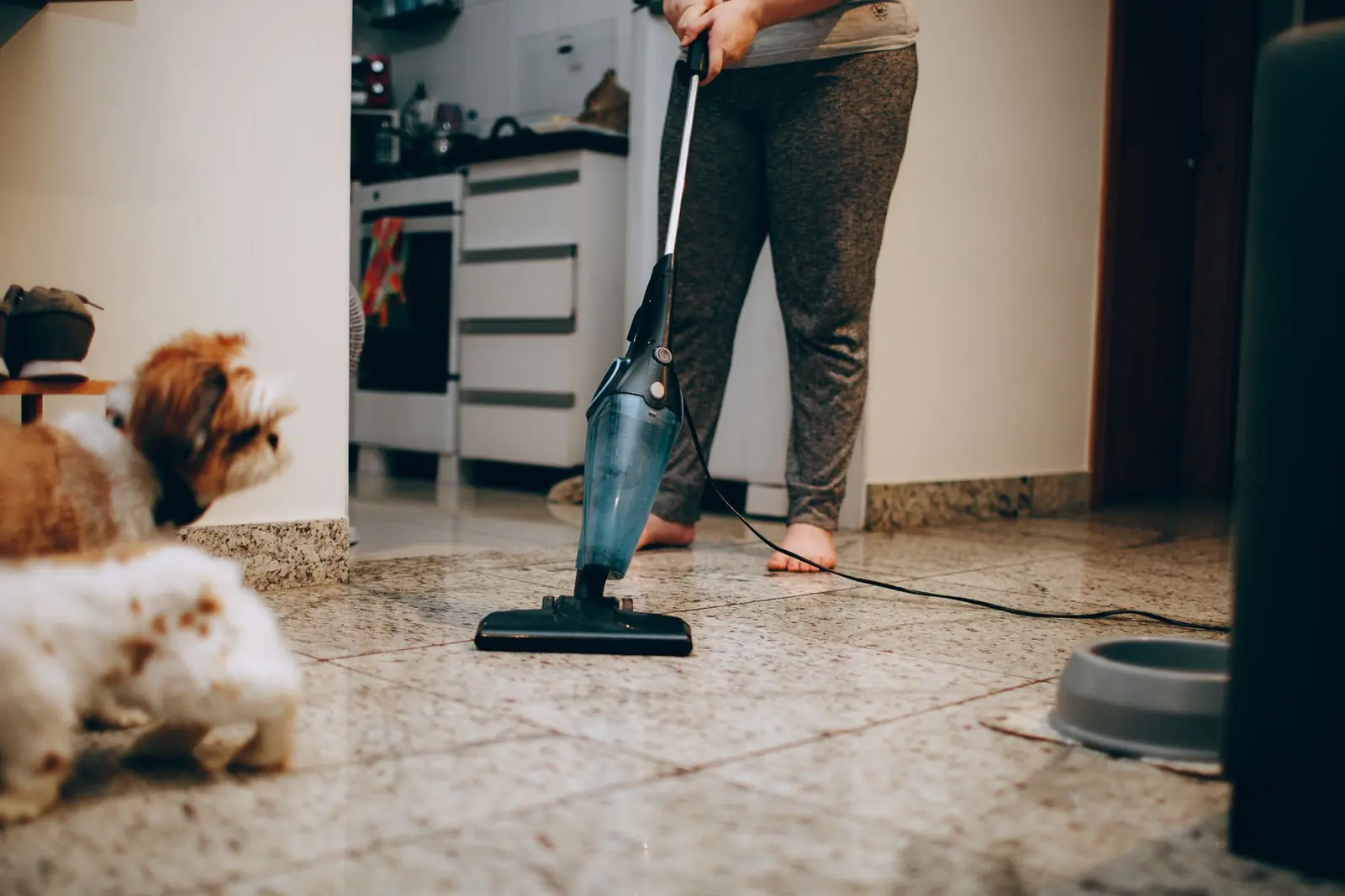 Éliminer les odeurs de chien ou de chat dans le canapé : la méthode définitive